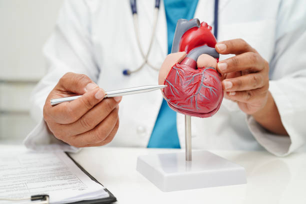 Cardiology